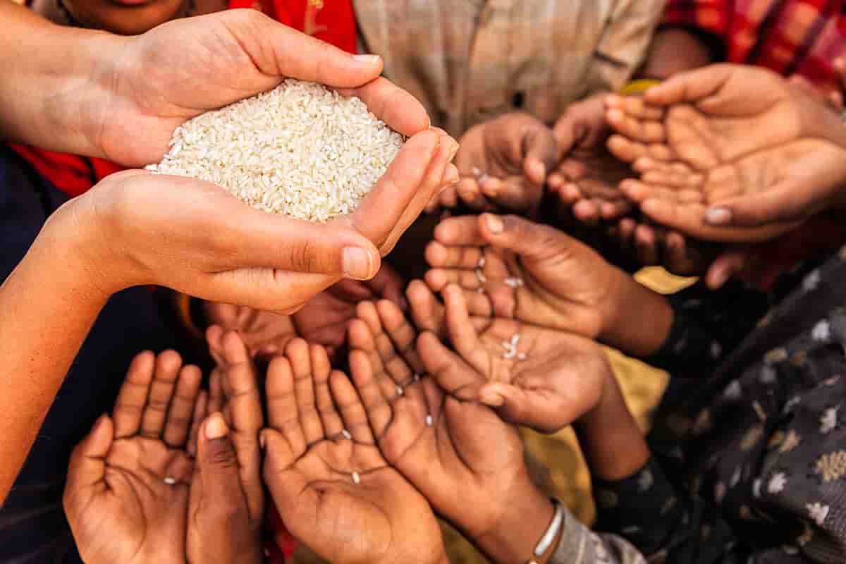 Cupped hands receiving rice food aid